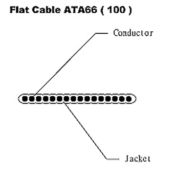  Flat Cable - ATA66 ( 100 )